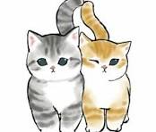 Котик заканчивает спринт2